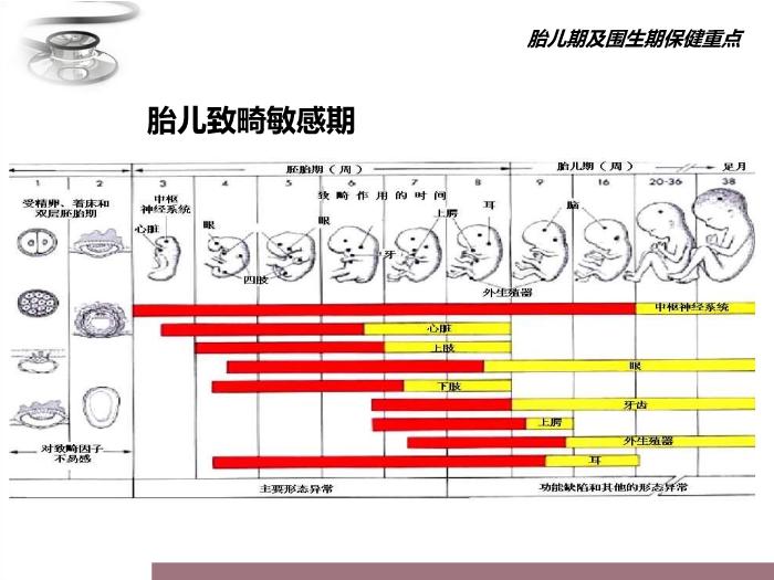 【醫學PPT課件】兒童保健原則 八年制兒科學PPT課件第6頁
