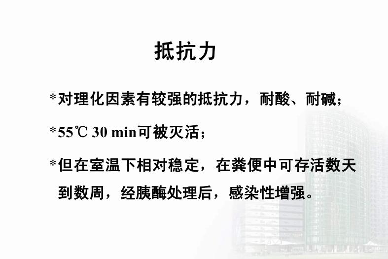 【醫學PPT課件】第27章 急性胃腸炎病毒 醫學微生物學教學課件第10頁
