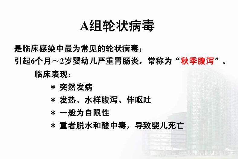 【醫學PPT課件】第27章 急性胃腸炎病毒 醫學微生物學教學課件第13頁