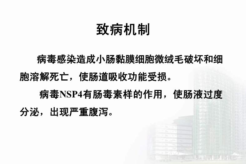 【醫學PPT課件】第27章 急性胃腸炎病毒 醫學微生物學教學課件第14頁