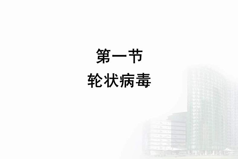 【醫學PPT課件】第27章 急性胃腸炎病毒 醫學微生物學教學課件第5頁