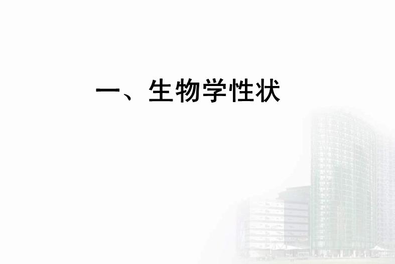 【醫學PPT課件】第27章 急性胃腸炎病毒 醫學微生物學教學課件第6頁