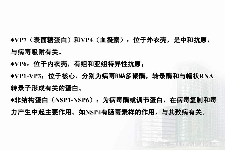 【醫學PPT課件】第27章 急性胃腸炎病毒 醫學微生物學教學課件第9頁