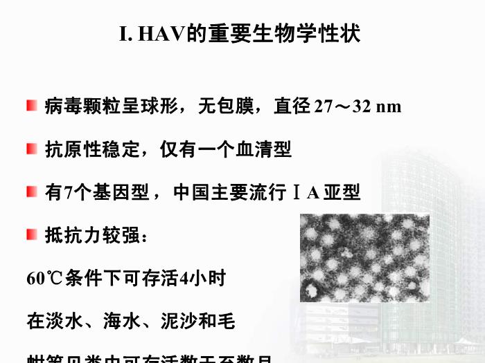 【醫學PPT課件】第28章 肝炎病毒 醫學微生物學教學課件