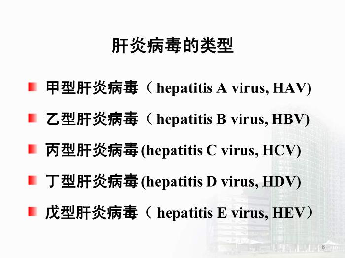 【醫學PPT課件】第28章 肝炎病毒 醫學微生物學教學課件