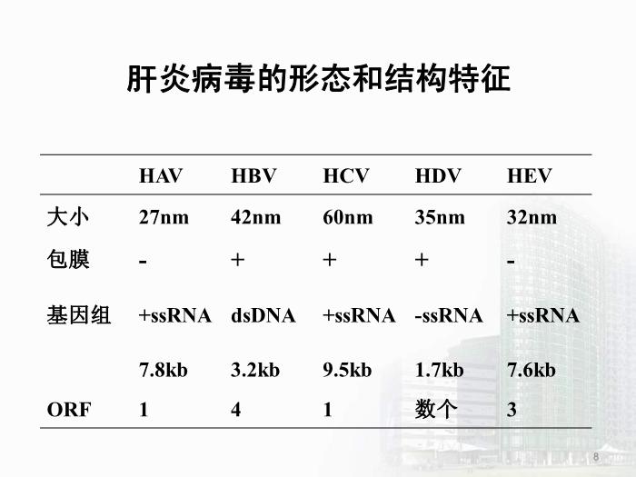 【醫學PPT課件】第28章 肝炎病毒 醫學微生物學教學課件