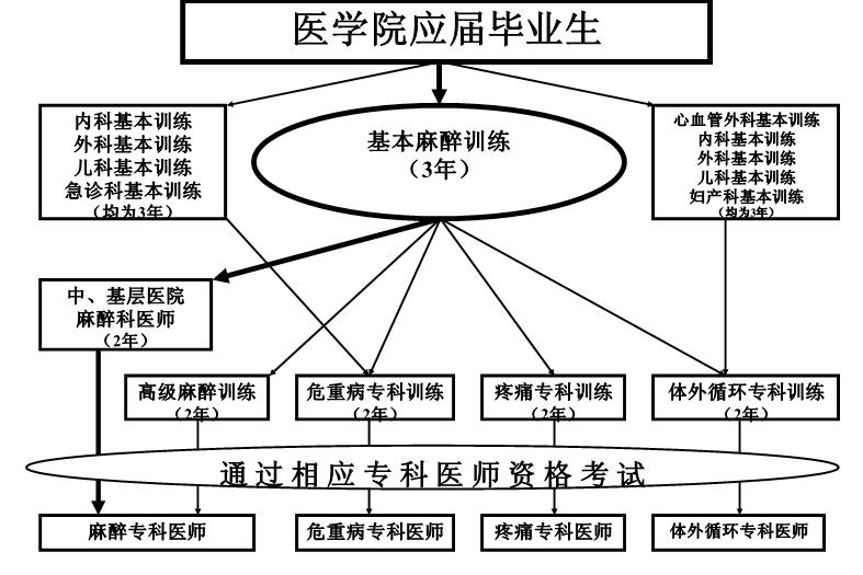 【醫學PPT課件】建立中國住院醫師規范化培訓制度第9頁