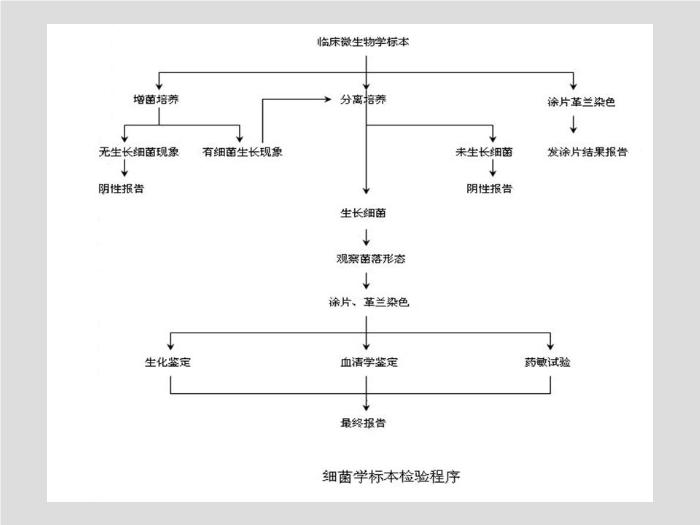 【醫學PPT課件】第2章 臨床微生物檢驗標本的采集 中國醫科大學第7頁