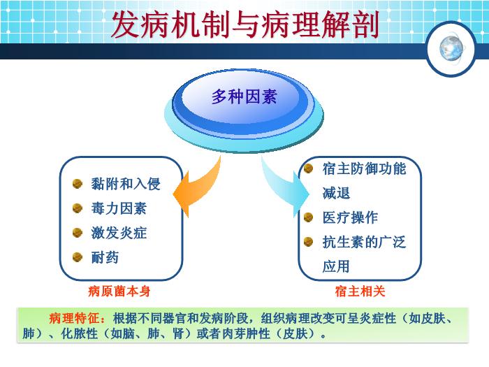 【醫學PPT課件】念珠菌病 傳染病學教學課件第9頁
