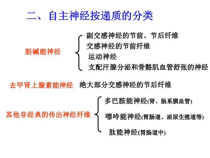 【醫學PPT課件】第5章 自主神經系統藥理概論第12頁
