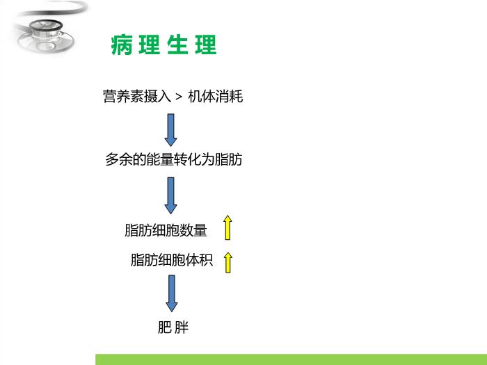 【醫學PPT課件】單純性肥胖癥 臨床醫學八年制兒科學教學課件第10頁