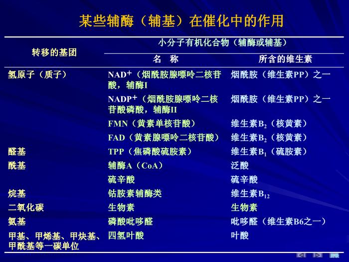 【醫學PPT課件】第三章 酶 生物化學與分子生物學第12頁