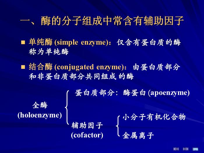 【醫學PPT課件】第三章 酶 生物化學與分子生物學第8頁