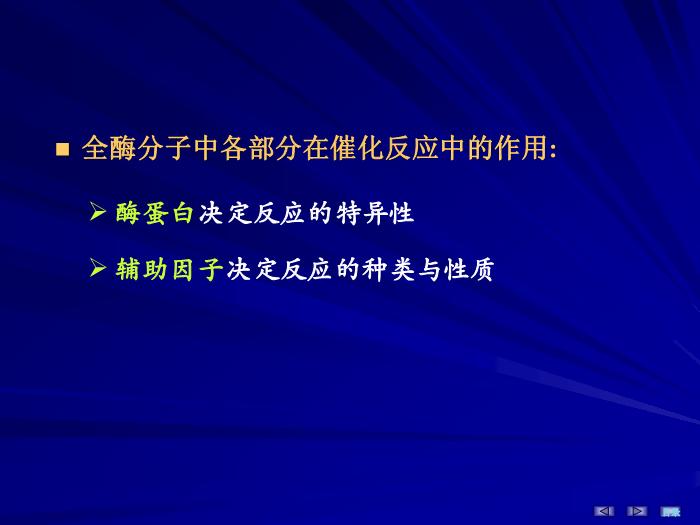 【醫學PPT課件】第三章 酶 生物化學與分子生物學第9頁