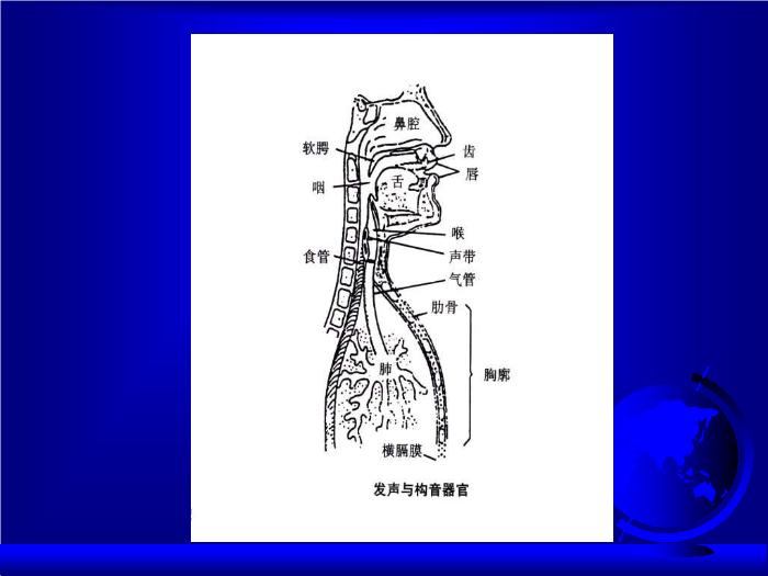 【醫學PPT課件】構音障礙評價  中國康復研究中心第5頁