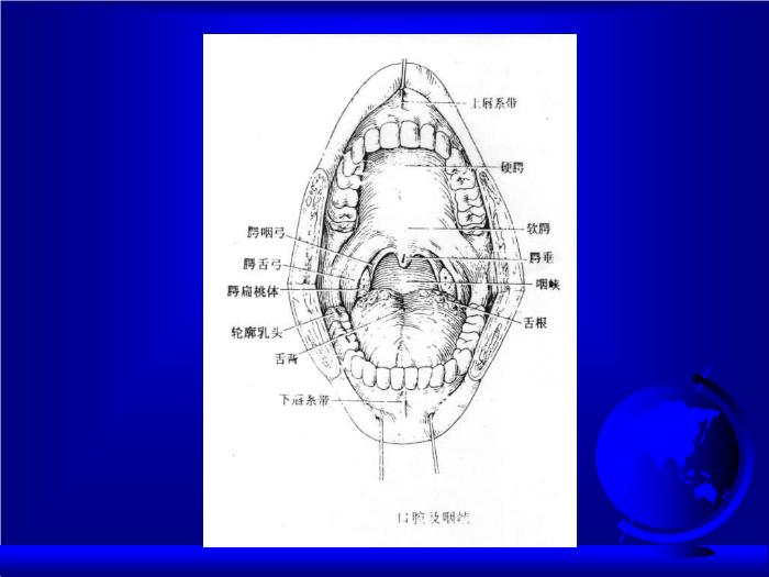 【醫學PPT課件】構音障礙評價  中國康復研究中心第6頁