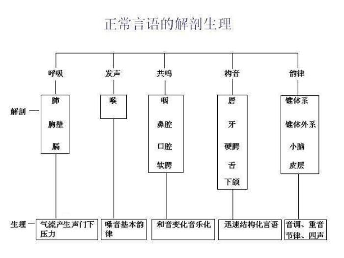 【醫學PPT課件】構音障礙評價  中國康復研究中心第7頁