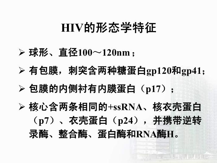 【醫學PPT課件】第32章 逆轉錄病毒 醫學微生物學教學課件第12頁