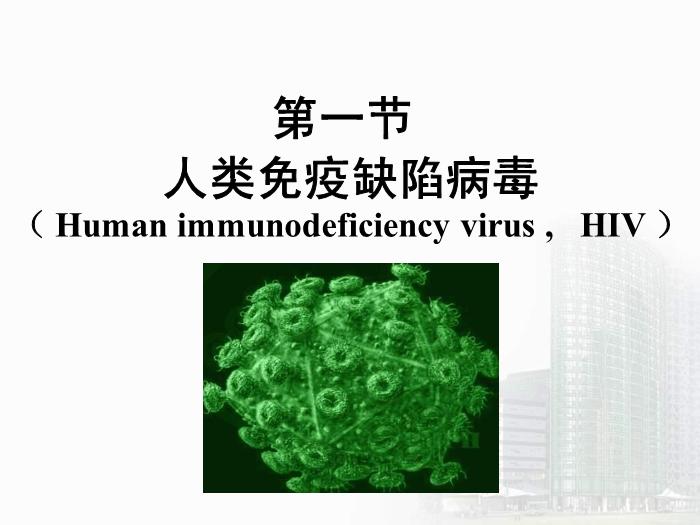 【醫學PPT課件】第32章 逆轉錄病毒 醫學微生物學教學課件第6頁