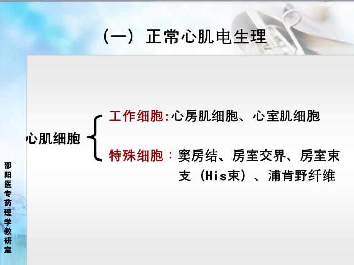 【醫學PPT課件】抗心律失常藥 邵陽醫專藥理學教研室第6頁