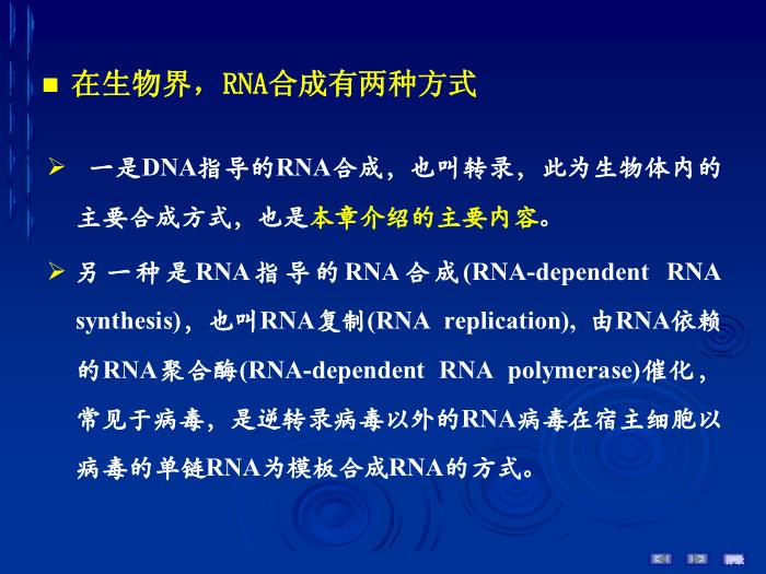 【醫學PPT課件】第十六章 RNA的生物合成 生物化學與分子生物學第3頁