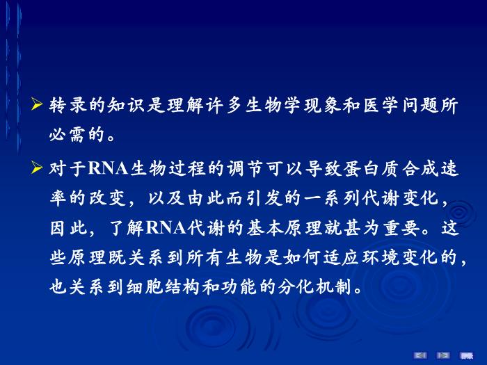 【醫學PPT課件】第十六章 RNA的生物合成 生物化學與分子生物學第5頁