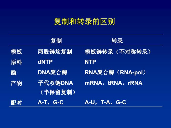 【醫學PPT課件】第十六章 RNA的生物合成 生物化學與分子生物學第6頁