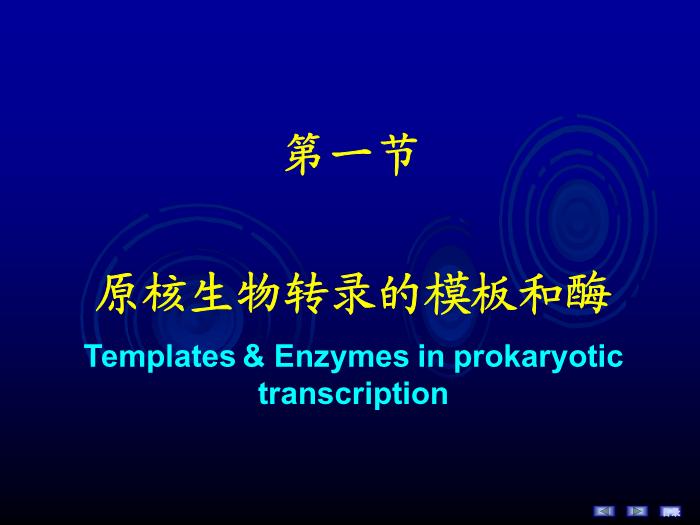 【醫學PPT課件】第十六章 RNA的生物合成 生物化學與分子生物學第7頁