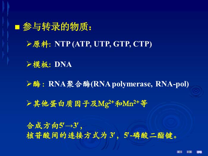 【醫學PPT課件】第十六章 RNA的生物合成 生物化學與分子生物學第8頁