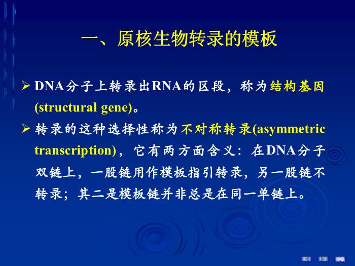 【醫學PPT課件】第十六章 RNA的生物合成 生物化學與分子生物學第9頁