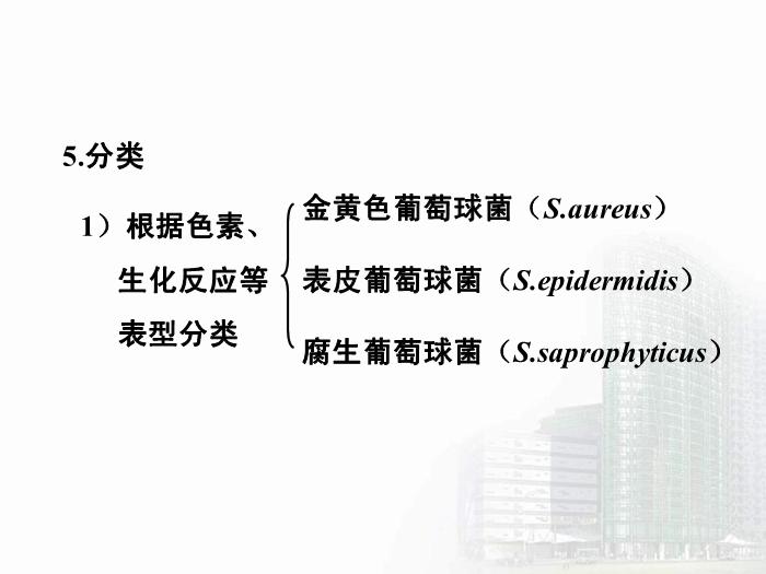 【醫學PPT課件】第8章 球菌 醫學微生物學第14頁