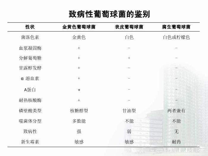 【醫學PPT課件】第8章 球菌 醫學微生物學第15頁