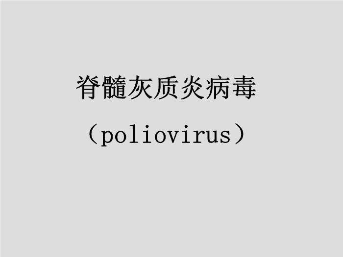 【醫學PPT課件】第25章 腸道感染病毒 寧夏醫科大學第10頁