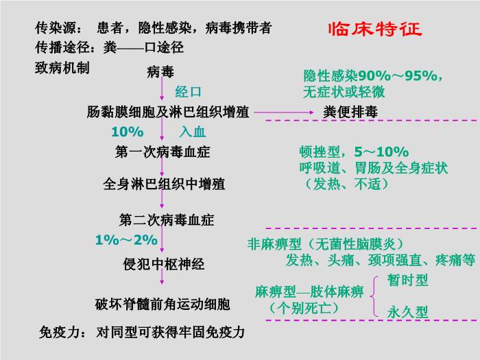 【醫學PPT課件】第25章 腸道感染病毒 寧夏醫科大學第12頁