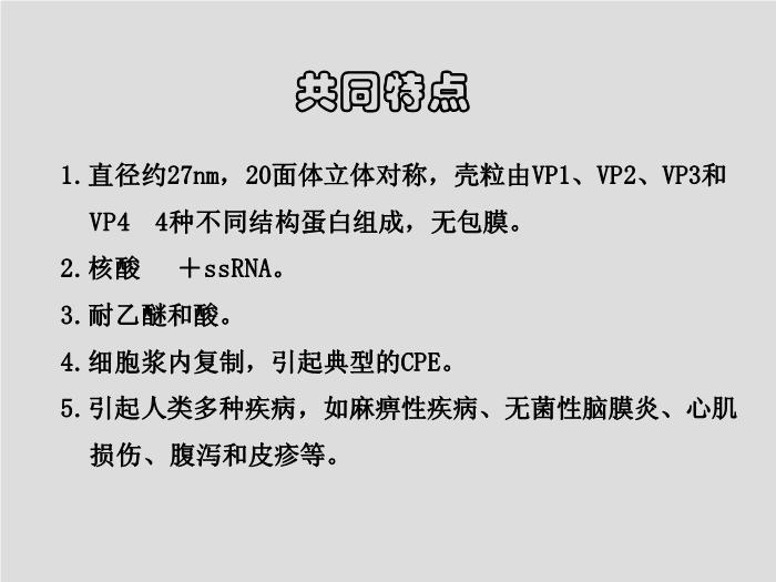 【醫學PPT課件】第25章 腸道感染病毒 寧夏醫科大學第6頁