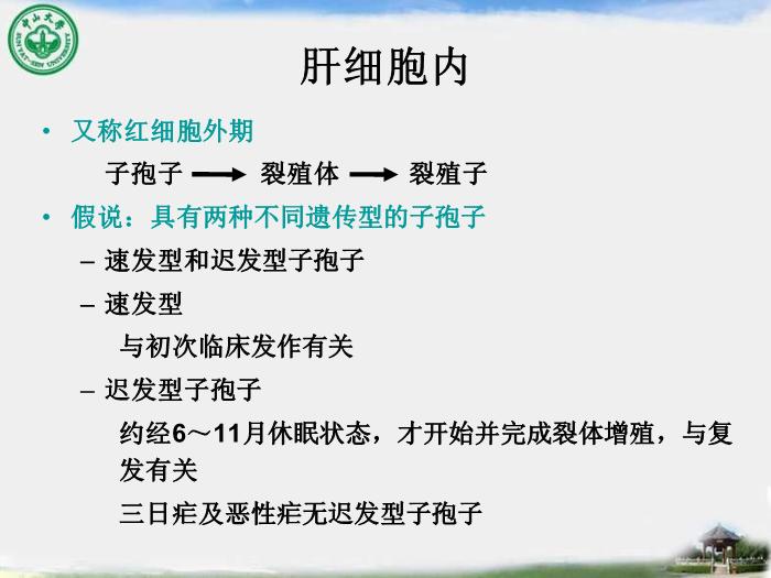 【醫學PPT課件】瘧疾 中山大學傳染病學教學課件第8頁