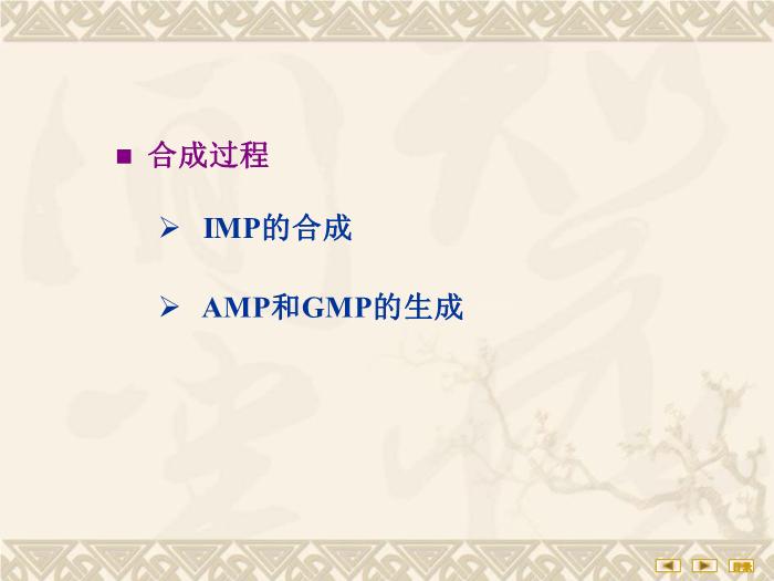 【醫學PPT課件】核苷酸代謝 生物化學與分子生物學第11頁
