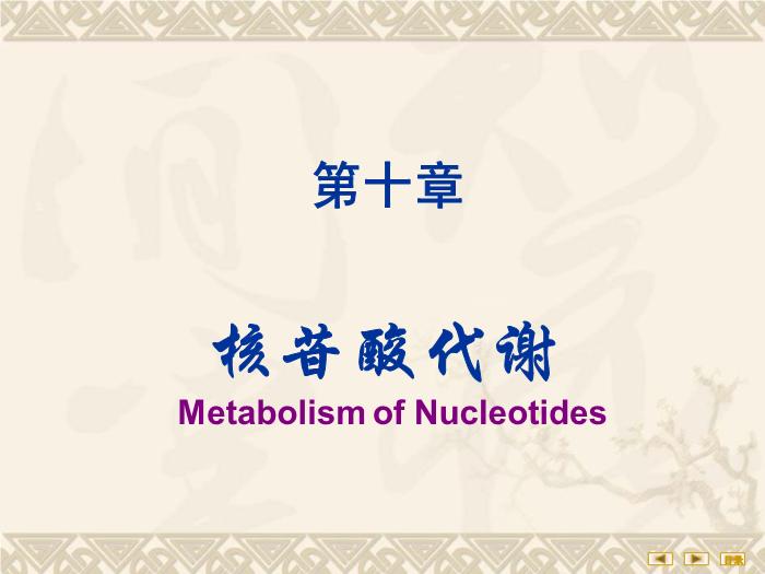 【醫學PPT課件】核苷酸代謝 生物化學與分子生物學第2頁