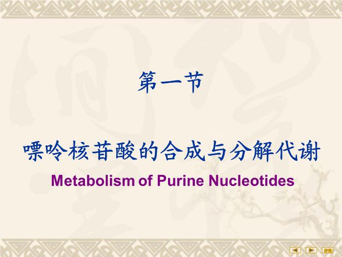 【醫學PPT課件】核苷酸代謝 生物化學與分子生物學第6頁