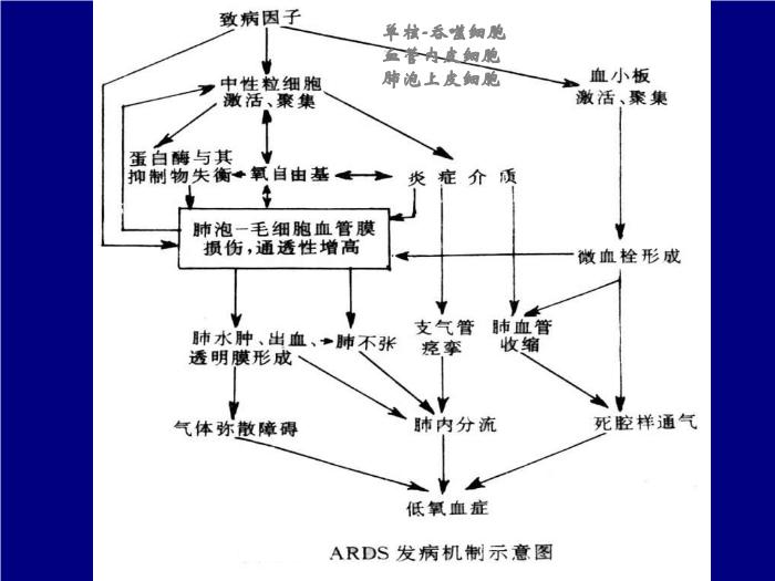 【醫學PPT課件】急性呼吸窘迫綜合征-武漢大學第一臨床學院-曹霞第6頁