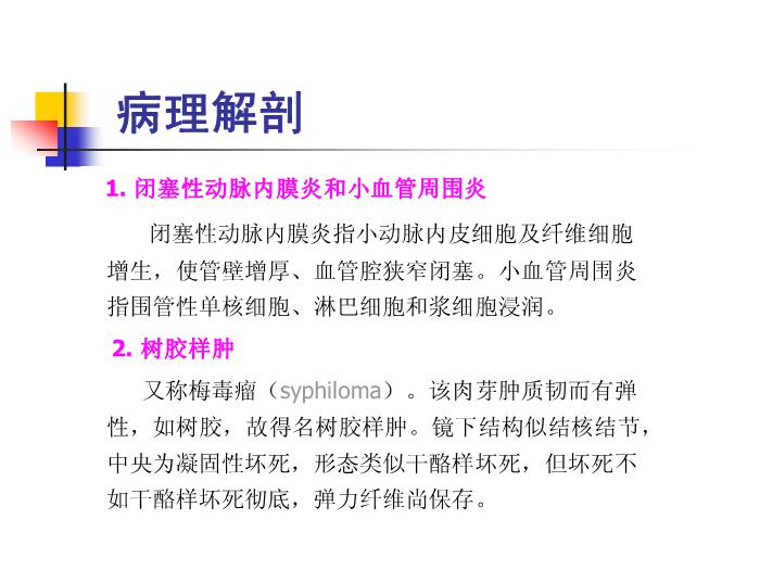 【醫學PPT課件】梅毒 鄭州大學傳染病學教學課件第14頁