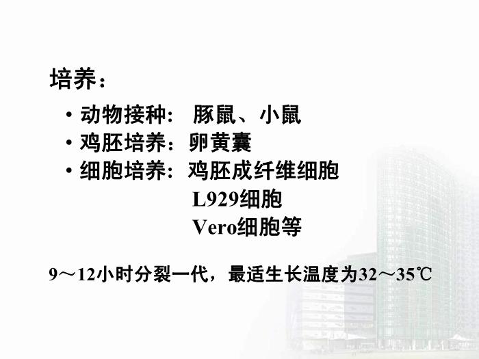 【醫學PPT課件】立克次體 醫學微生物學中南大學基礎醫學院第10頁
