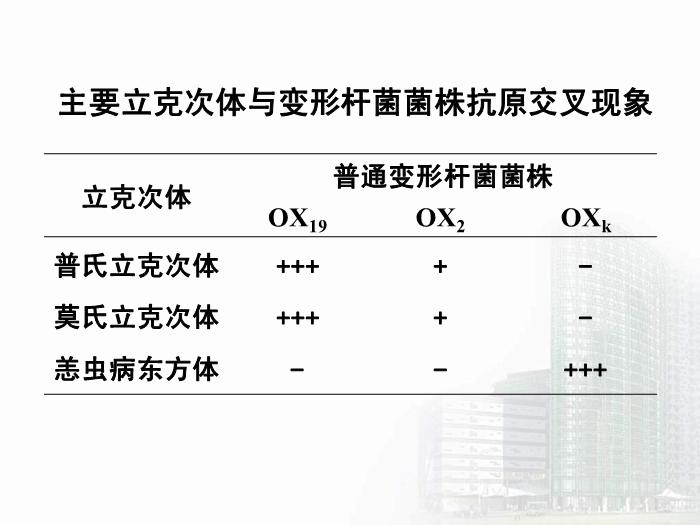 【醫學PPT課件】立克次體 醫學微生物學中南大學基礎醫學院第12頁