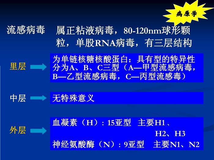 【醫學PPT課件】流行性感冒-河南大學第一附屬醫院第4頁