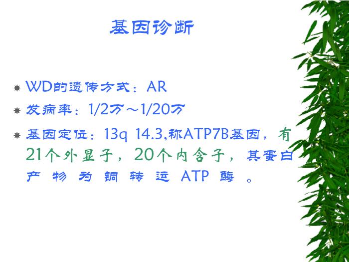 【醫學PPT課件】肝豆狀核變性的診斷指標評價和治療【23頁PPT】第13頁
