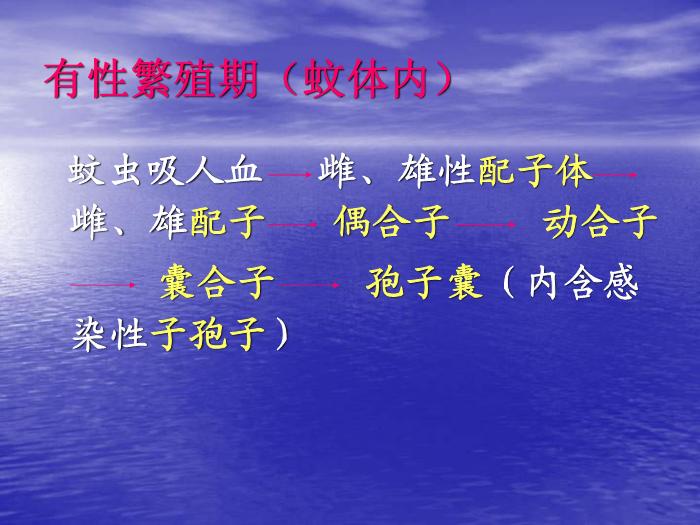 【醫學PPT課件】瘧疾 蚌醫一附院傳染病學教研室第10頁