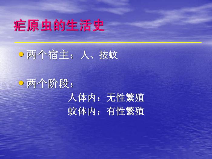 【醫學PPT課件】瘧疾 蚌醫一附院傳染病學教研室第5頁