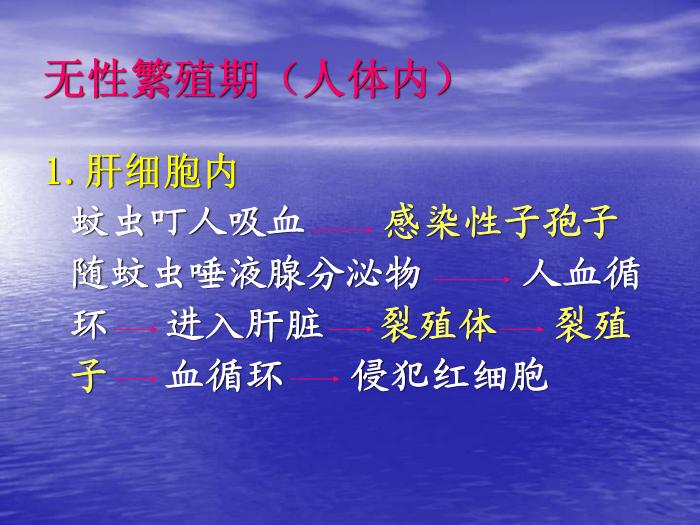 【醫學PPT課件】瘧疾 蚌醫一附院傳染病學教研室第6頁