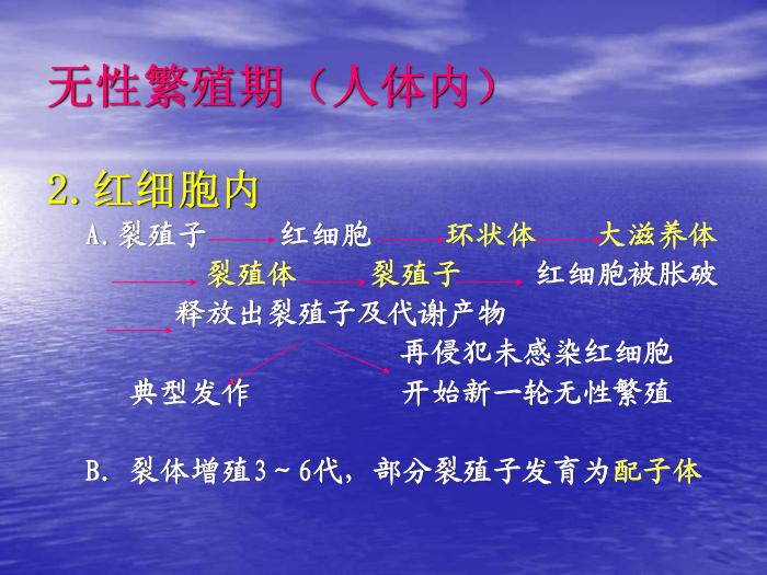 【醫學PPT課件】瘧疾 蚌醫一附院傳染病學教研室第7頁