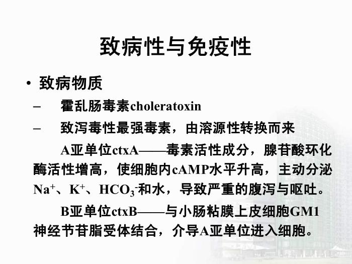 【醫學PPT課件】弧菌屬  醫學微生物學教學課件第10頁